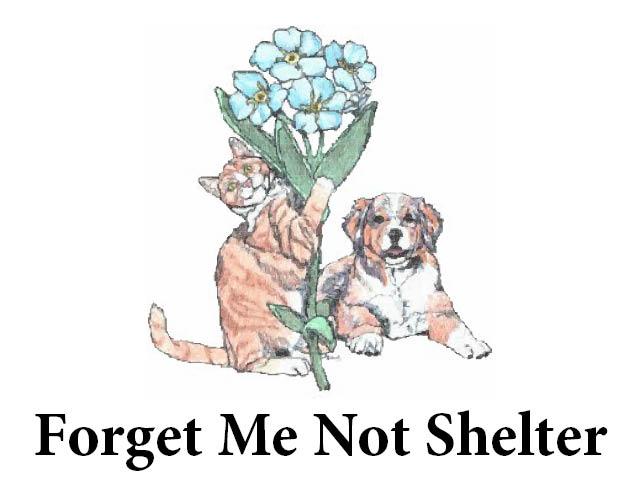 forget-me-not-shelter